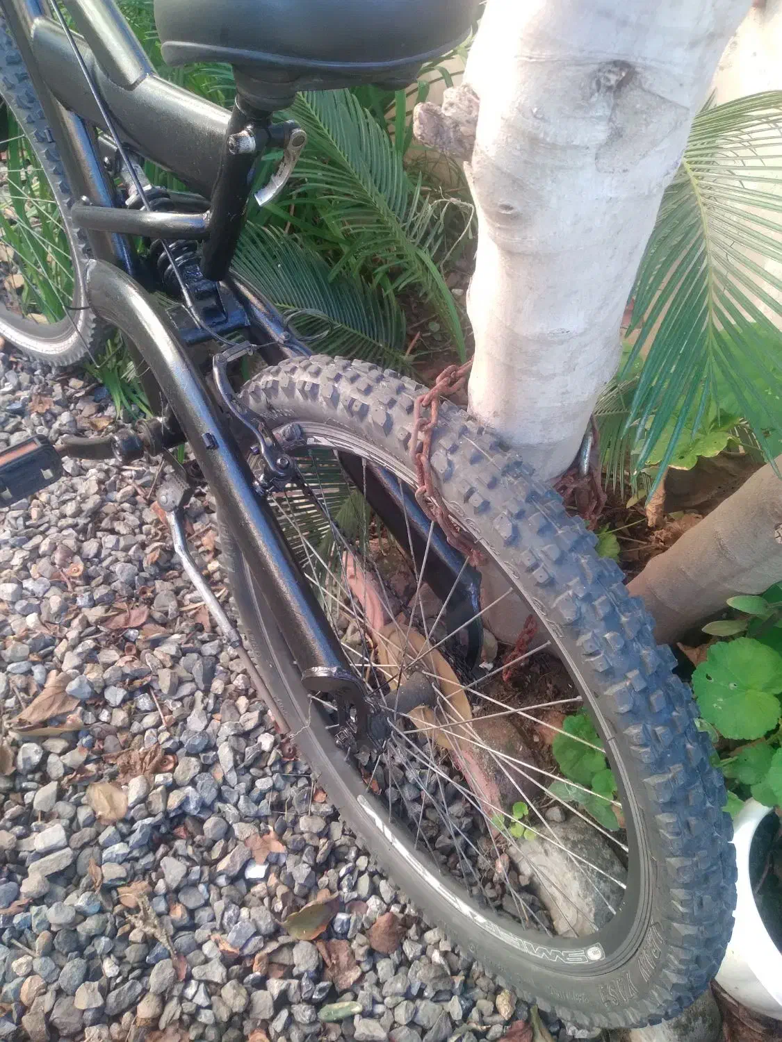 دوچرخه|دوچرخه، اسکیت، اسکوتر|نوشهر, |دیوار