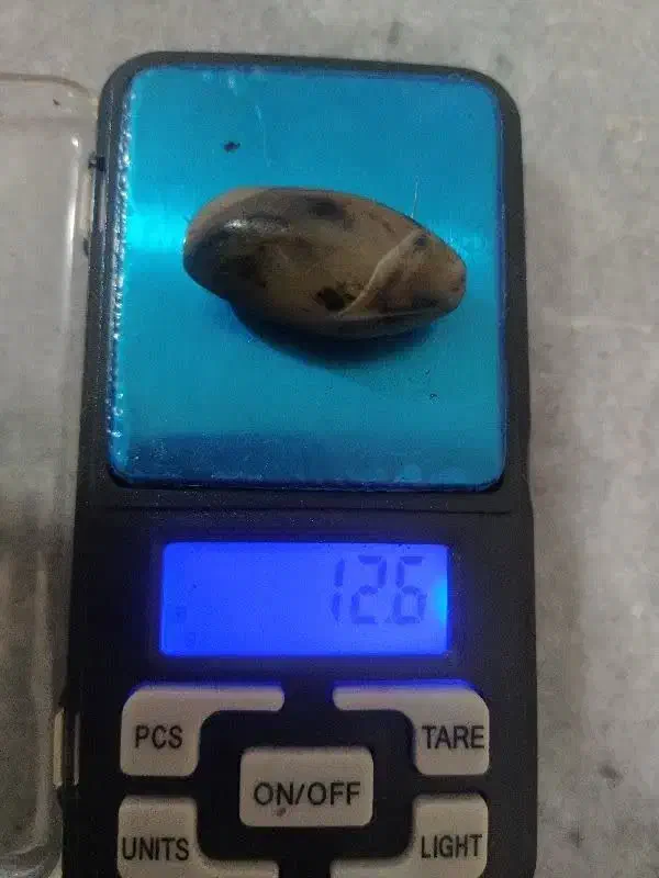 سنگ قدیمی|کلکسیون اشیاء عتیقه|پاکدشت, پاکدشت (مامازند)|دیوار