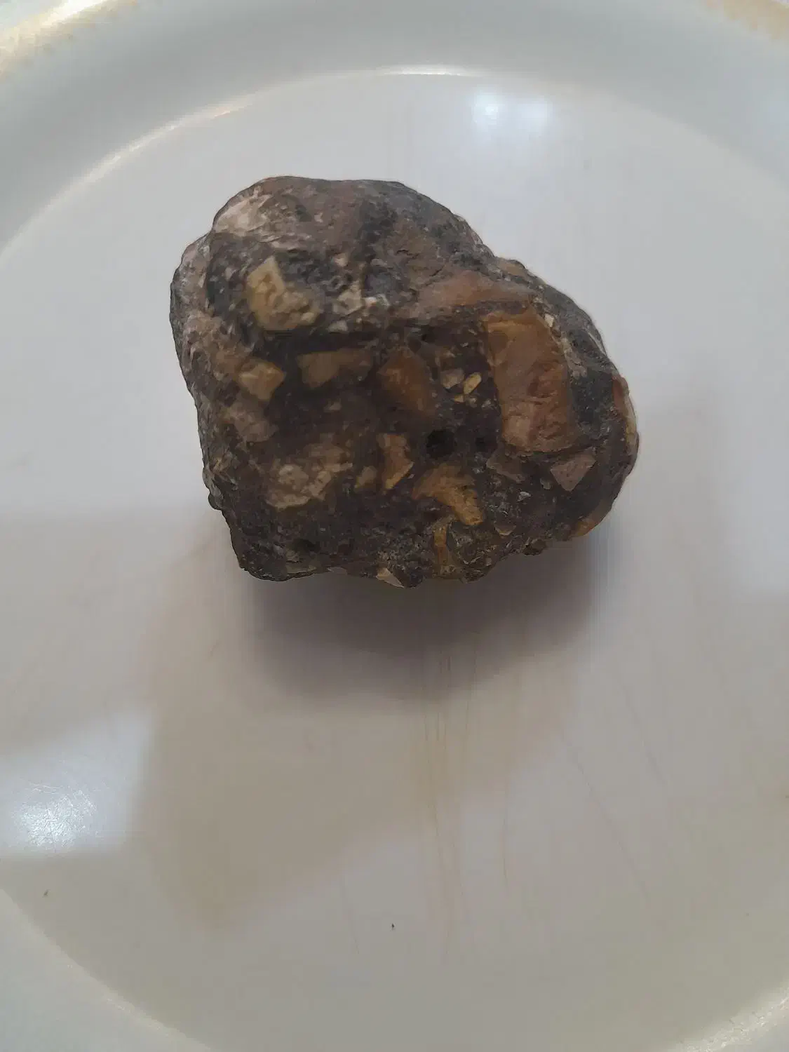 شهاب سنگ|کلکسیون اشیاء عتیقه|سنگان, |دیوار