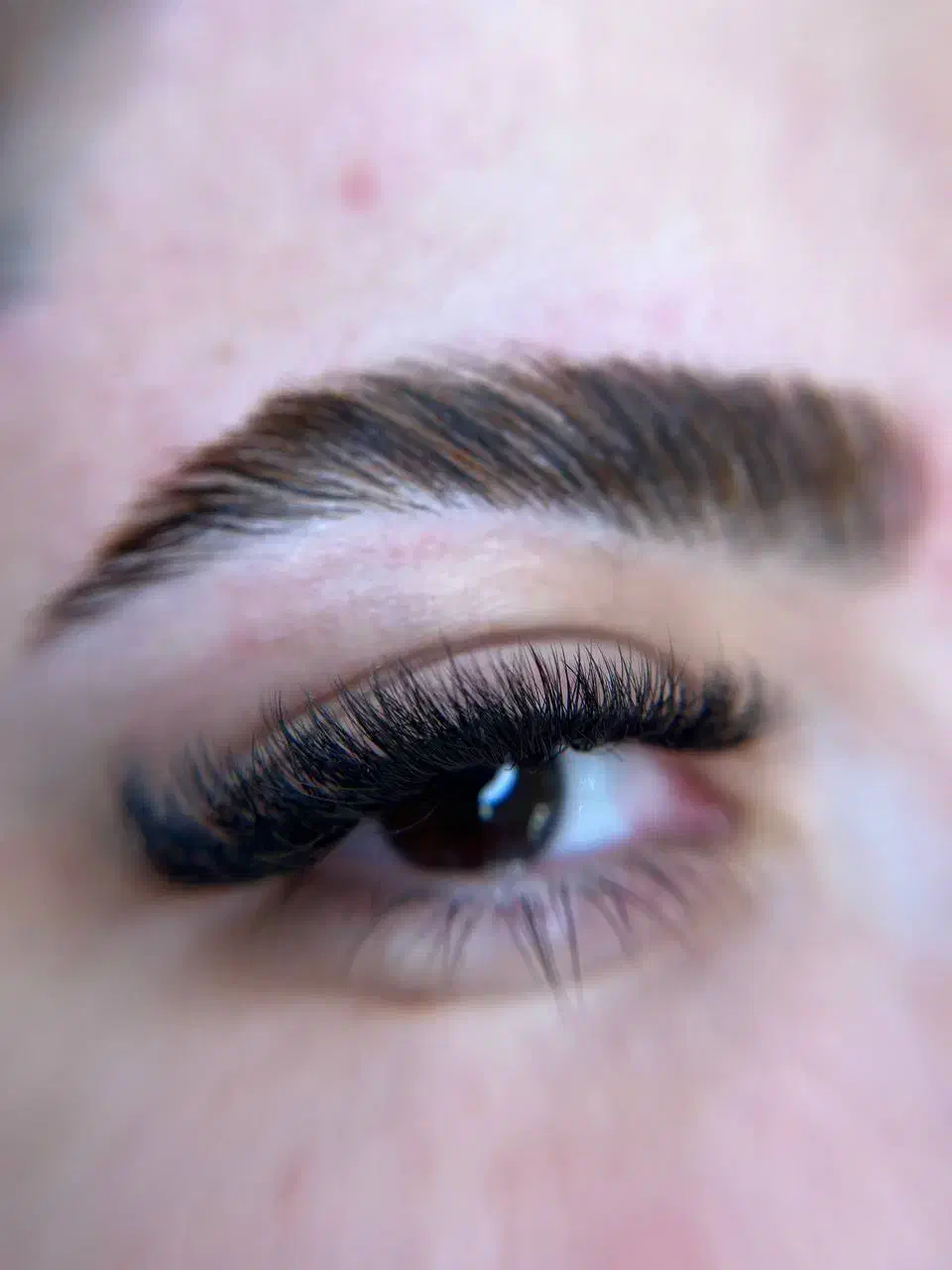 تخفیف ویژه خدمات اکستنشن مژه و لیفت ابرو و مژه|خدمات آرایشگری و زیبایی|تهران, هفت حوض|دیوار