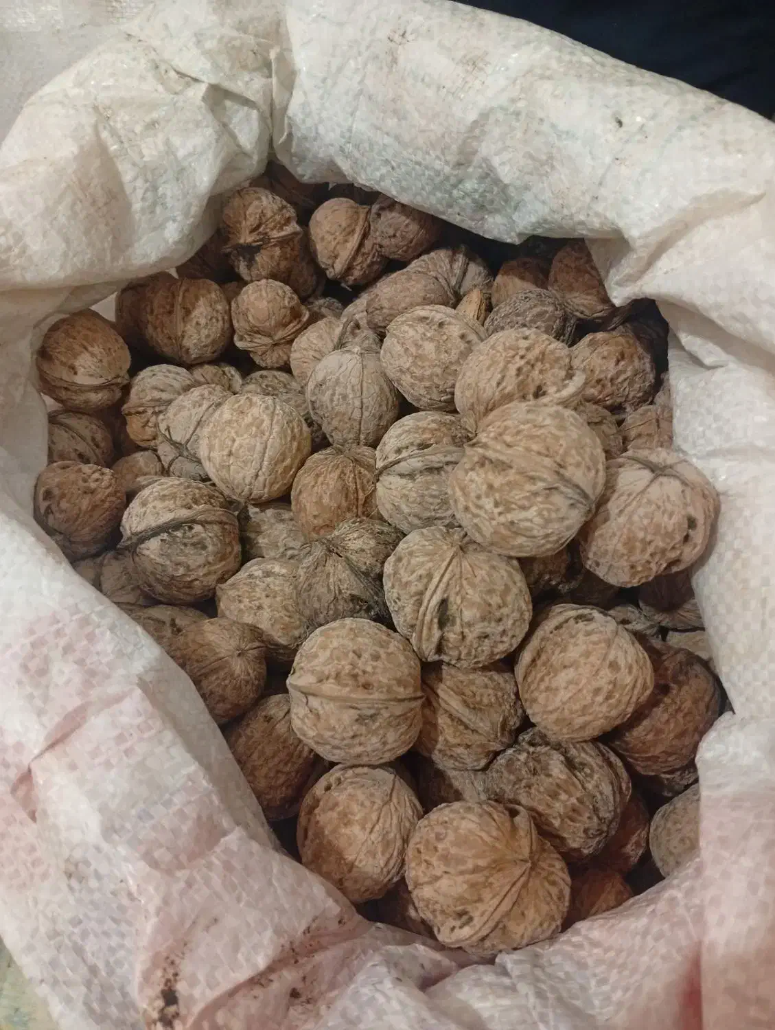 فروش گردو وبادام|حراج|قوچان, |دیوار