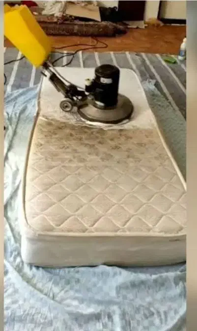 تشکت رو مثل روز اولش می کنم|خدمات نظافت|بندرعباس, |دیوار