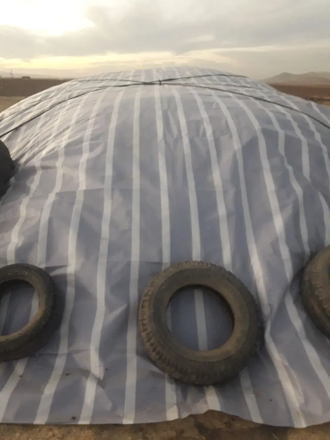 کاه گندم|خدمات باغبانی و درختکاری|ماهیدشت, |دیوار