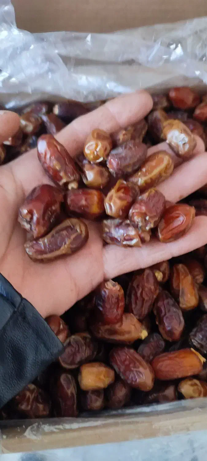 خرما|خوردنی و آشامیدنی|نیشابور, میدون بار|دیوار