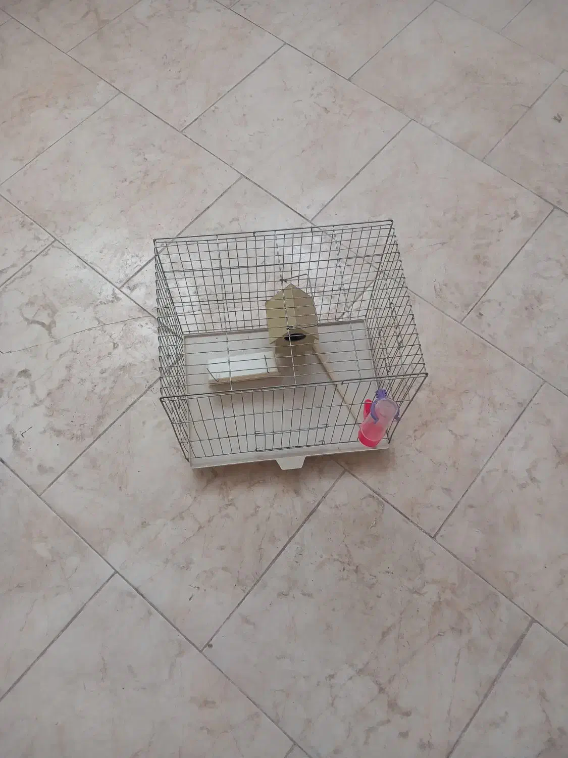 قفس پرنده|لوازم جانبی حیوانات|اصفهان, جلالیه|دیوار