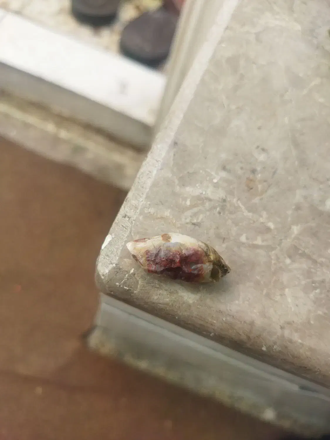 ۳عدد|بدلیجات|شیراز, جوادیه|دیوار