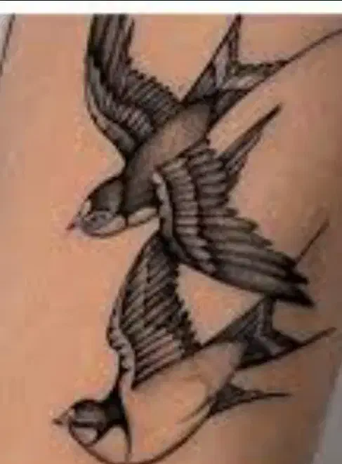 هر نوع تاتو ۵۰۰|خدمات آرایشگری و زیبایی|لنجان, |دیوار