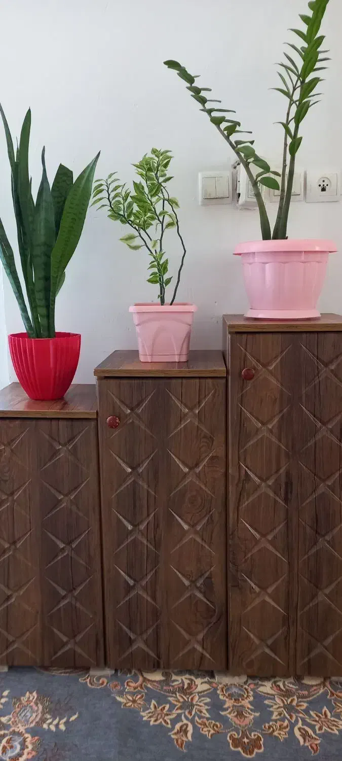 جا کفشی|جاکفشی، کمد، دراور|بیستون, |دیوار