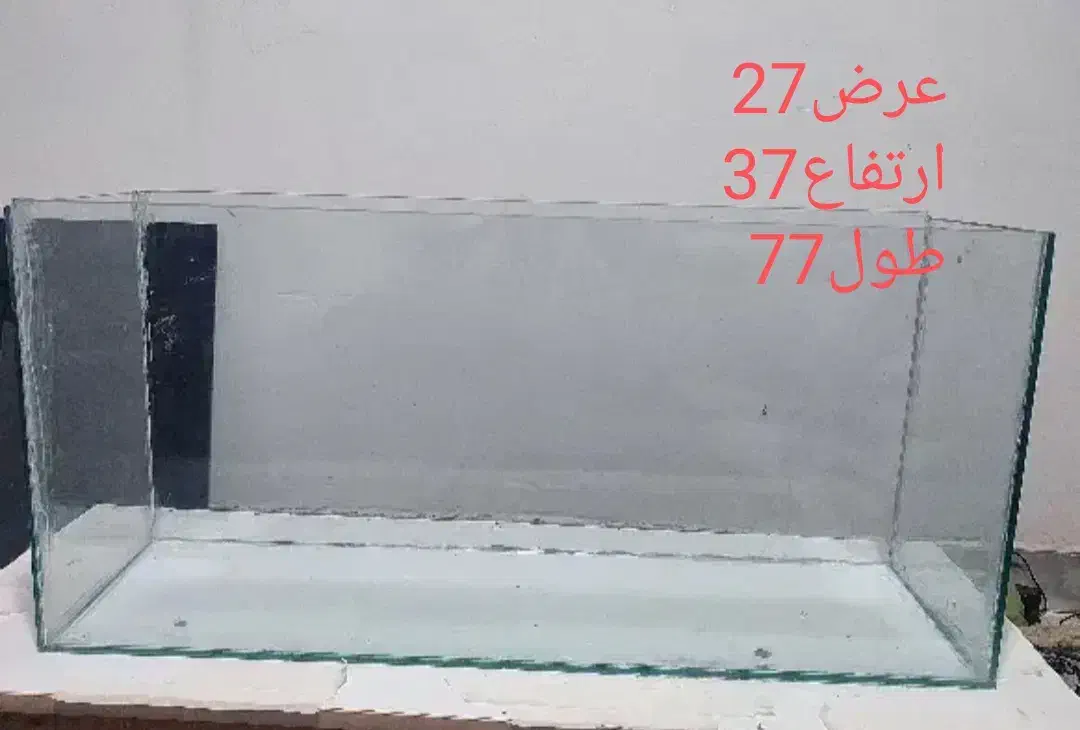 آکواریوم|ماهی|لنگرود, |دیوار