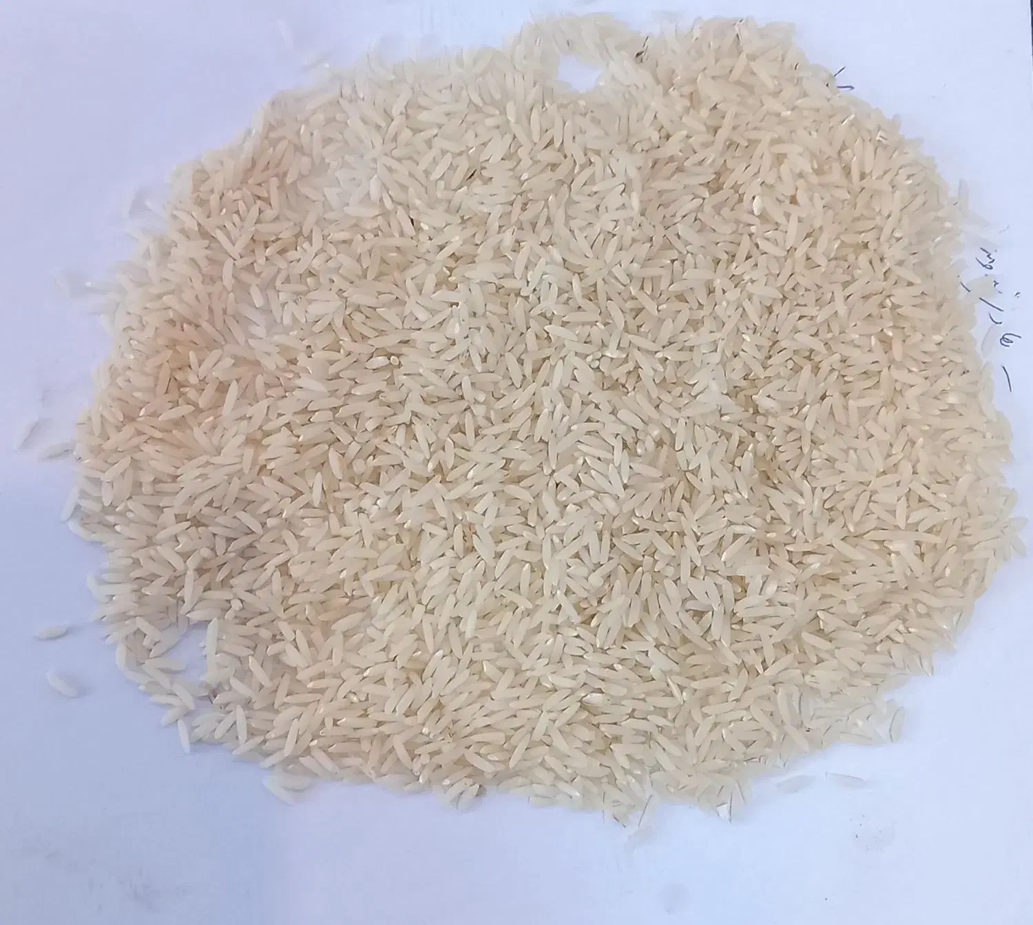 برنج هاشمی خالص|خوردنی و آشامیدنی|رشت, فلسطین|دیوار