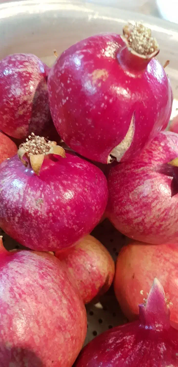 انار درجه یک رباب قصردشتی دانه قرمز میخوش|خوردنی و آشامیدنی|شیراز, میرزاکوچک خان|دیوار