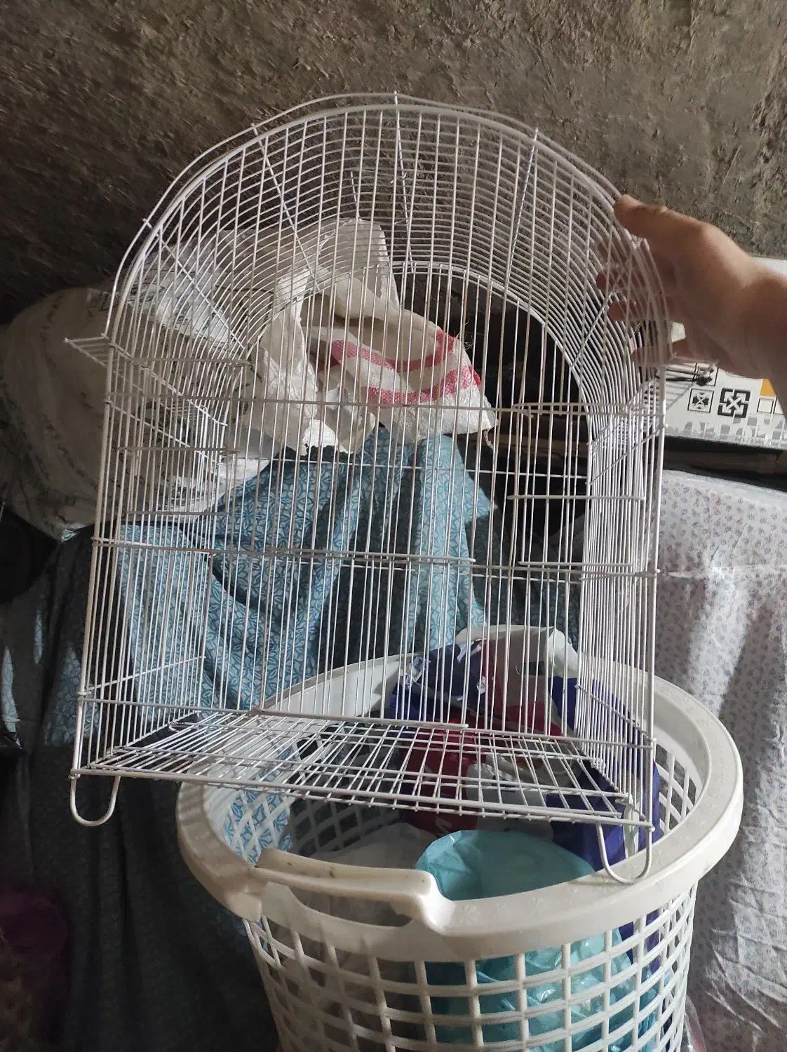 قفس پرنده|لوازم جانبی حیوانات|اصفهان, رکن الدوله غربی|دیوار