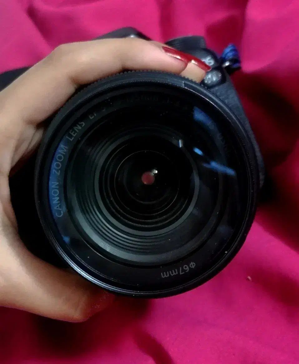 دوربین 80D canon|دوربین عکاسی و فیلم‌برداری|یزد, |دیوار