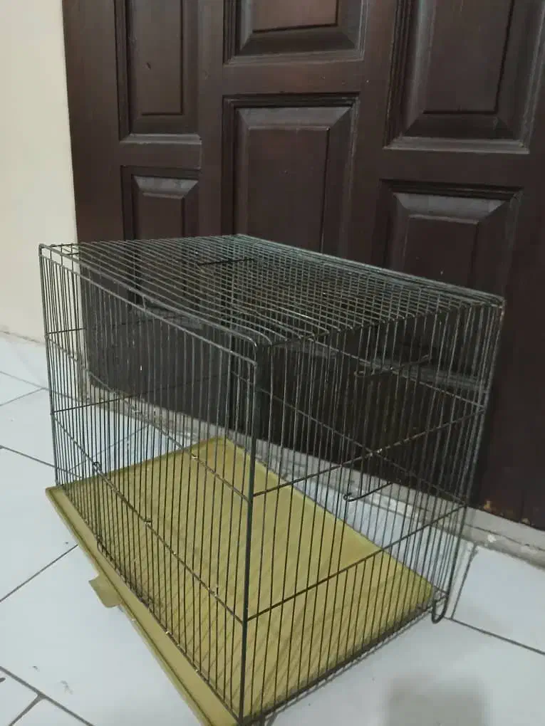 قفس پرنده|لوازم جانبی حیوانات|تهران, یافت آباد جنوبی|دیوار