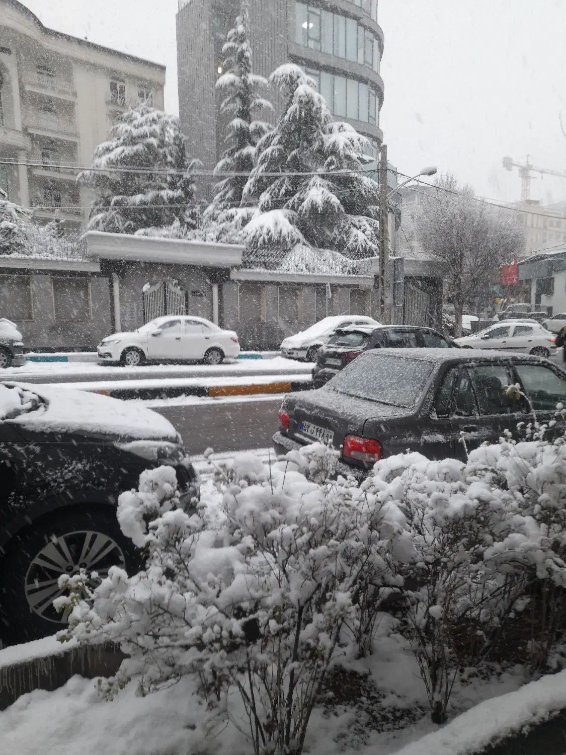 دزدیده شده|اشیا|تهران, دزاشیب|دیوار