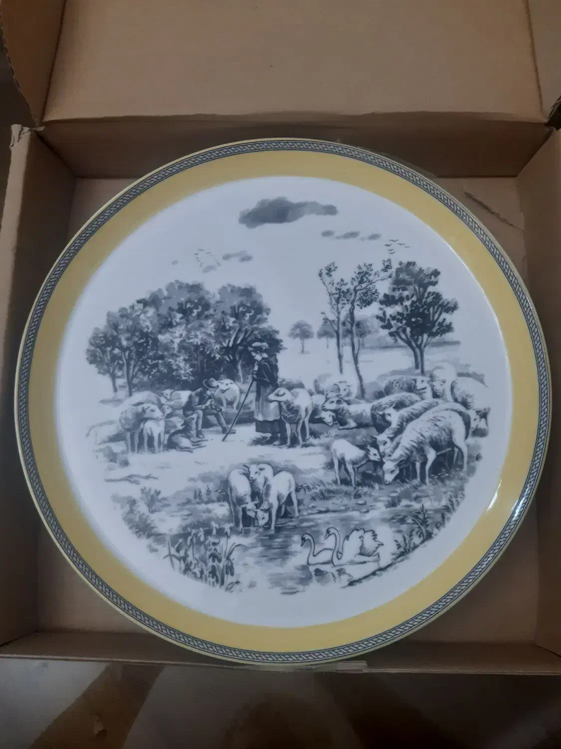 دیس های چینی بسیار زیبا و دیس ماهی نو با جعبه|ظروف سرو و پذیرایی|تهران, اباذر|دیوار