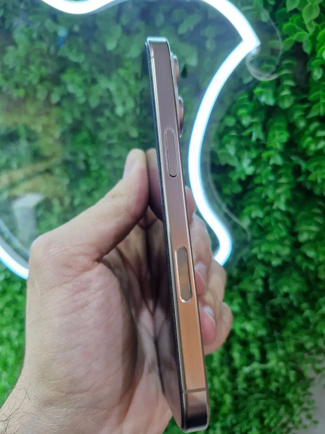 16pro..256 zaa رجیسترشده|موبایل|هشتگرد, شهرک بعثت|دیوار