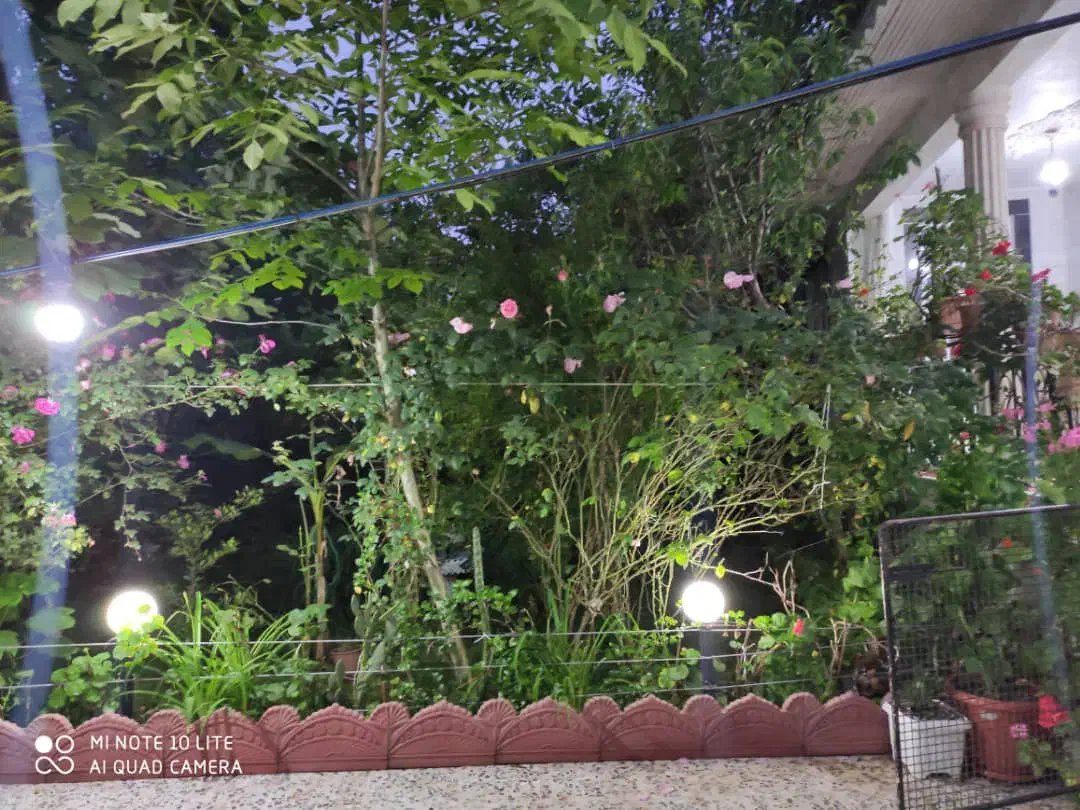 ویلای شیک با قیمت استثنایی|فروش خانه و ویلا|لوندویل, |دیوار