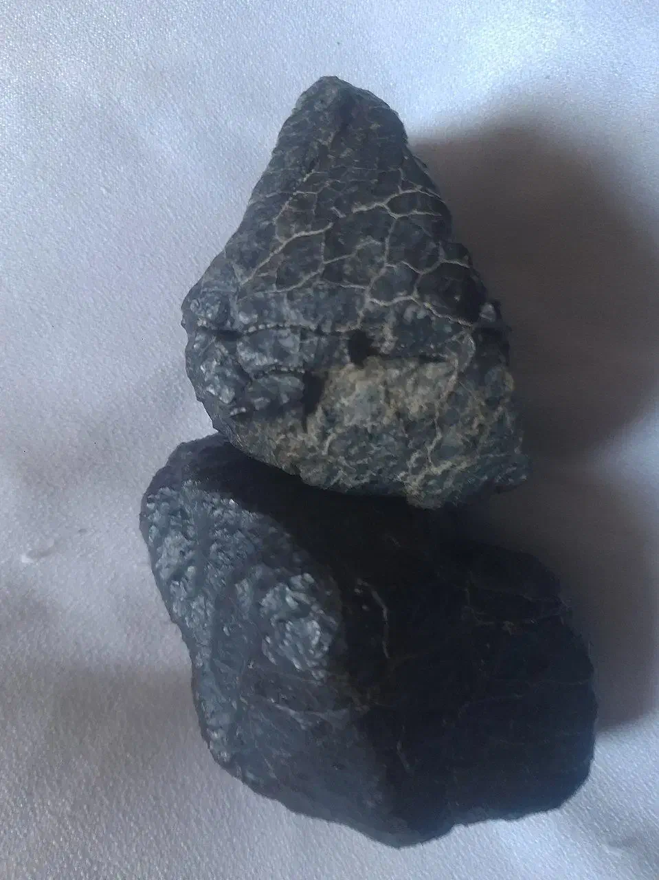 شهاب سنگ|کلکسیون اشیاء عتیقه|زاهدان, |دیوار