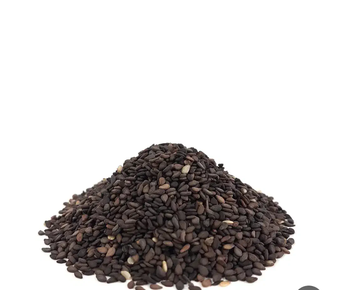 اشتری سم سم|حراج|سوسنگرد, |دیوار