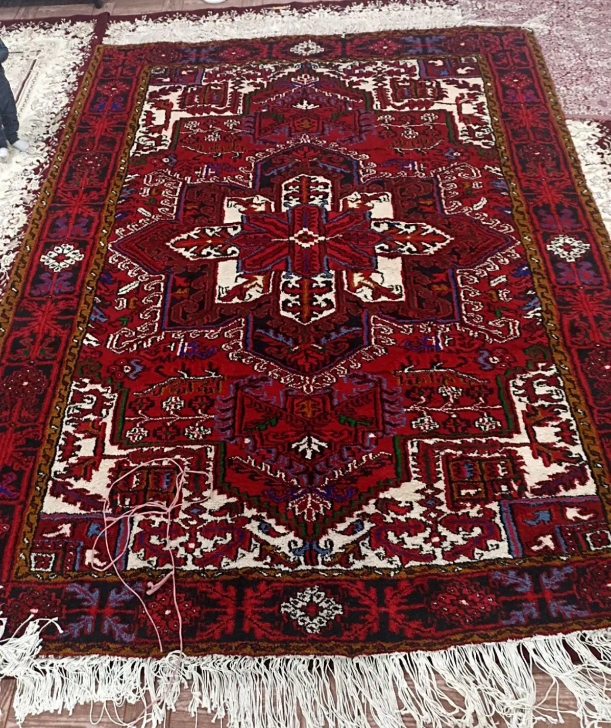 فرش دست بافت نو|فرش|هشترود, |دیوار