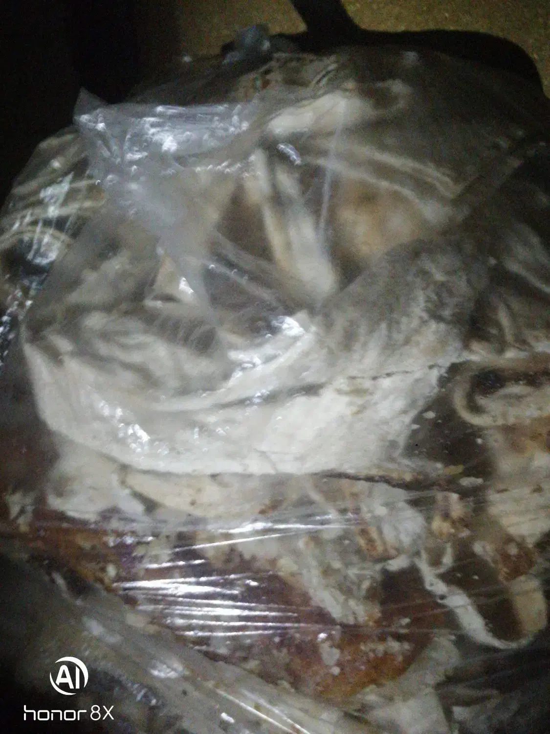 نان خشک|لوازم جانبی حیوانات|اهواز, سپیدار|دیوار