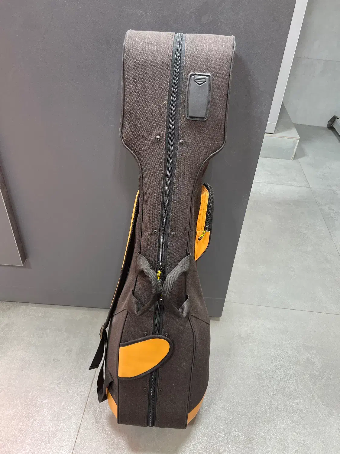 هارد کیس تار کوله ای|سازهای سنتی|قزوین, |دیوار