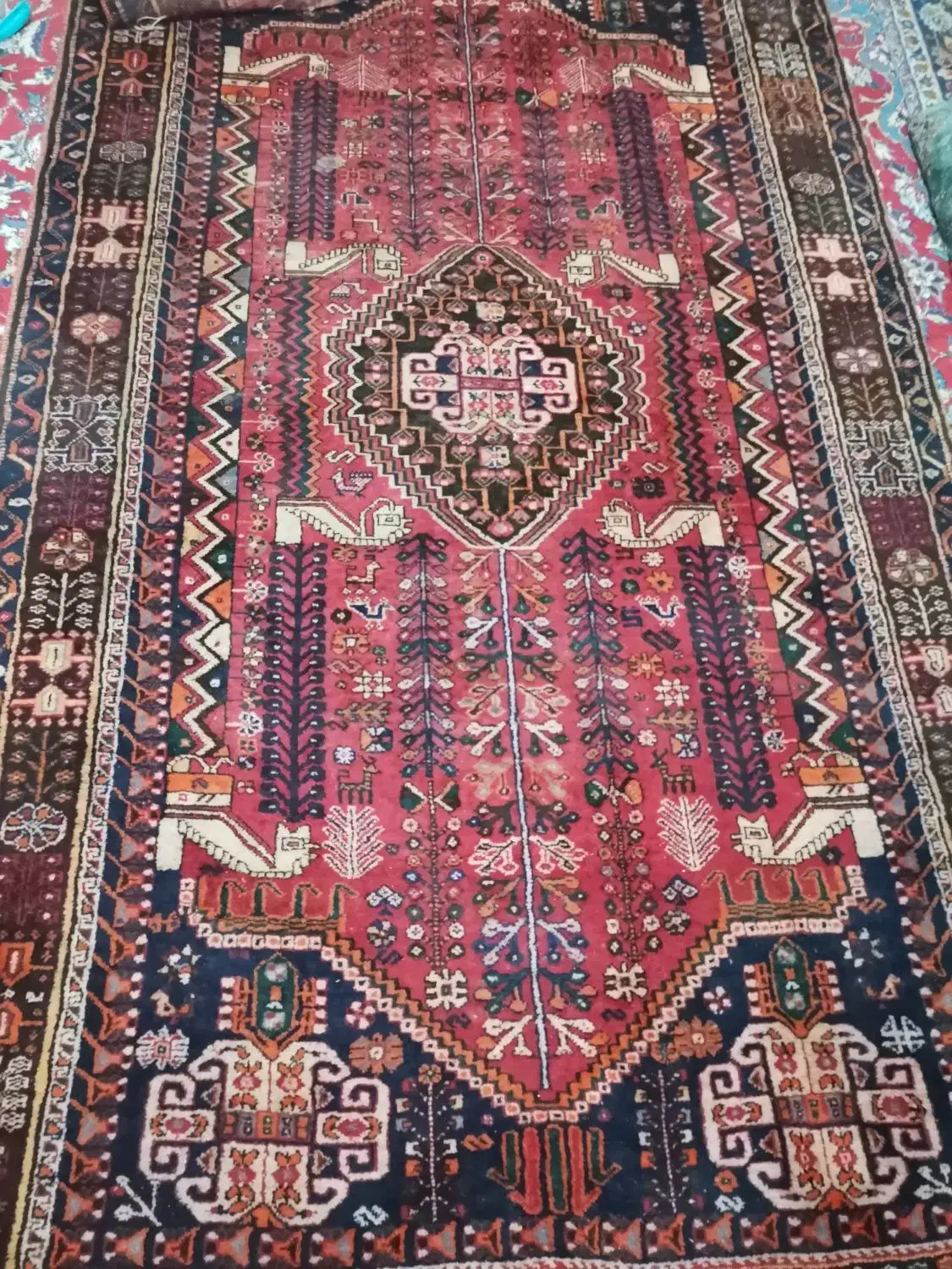 فروش فرش دستبافت 4متری کاملا سالم|فرش|شیراز, دوکوهک|دیوار