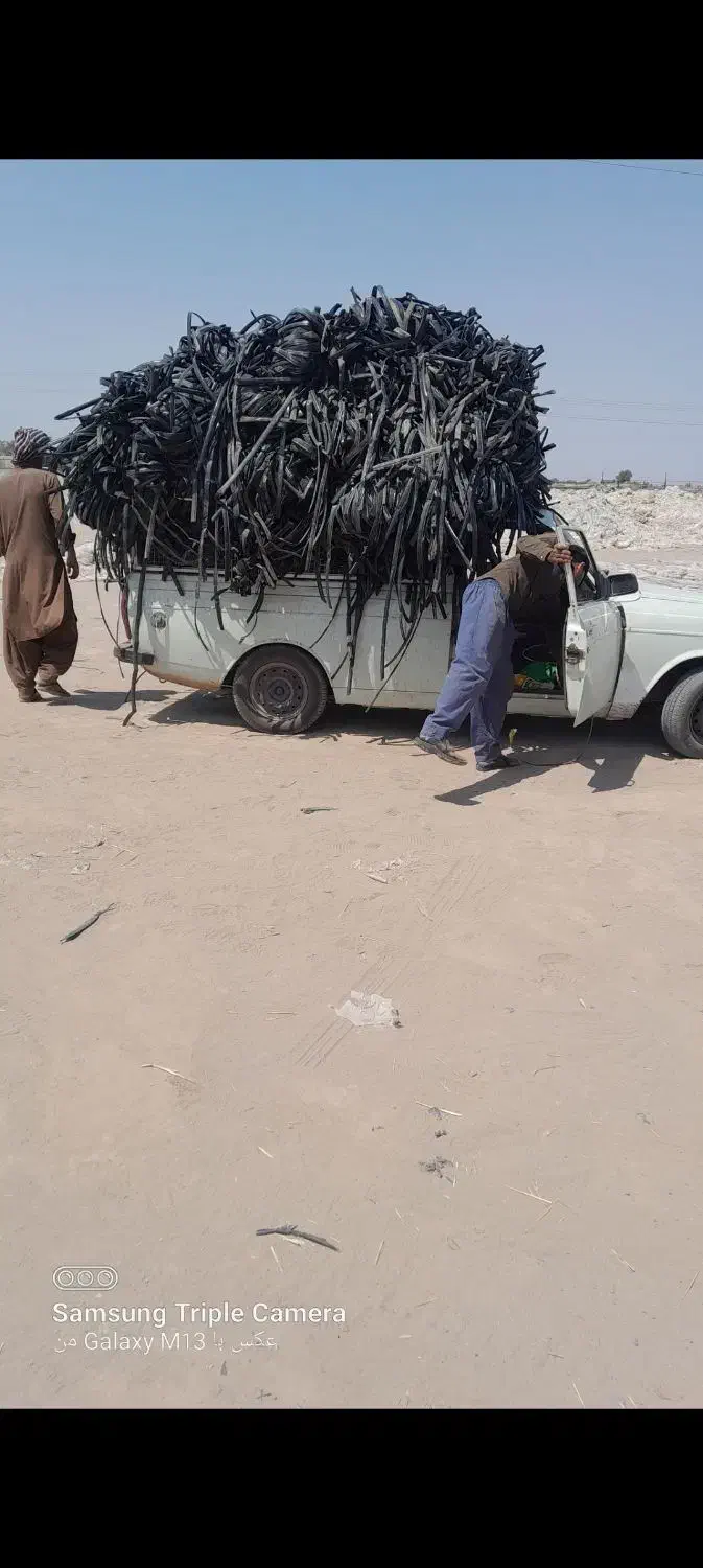 خرید نوارتیپ|خدمات پیشه و مهارت|رودبار (کرمان), |دیوار