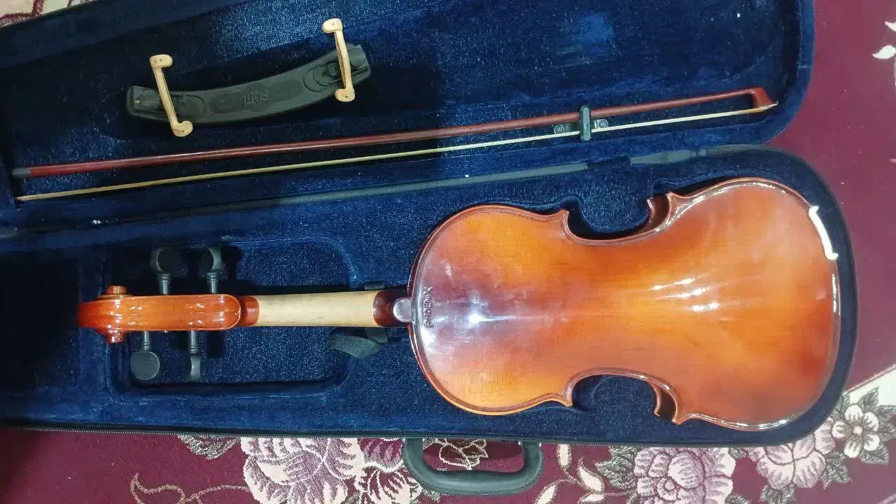 ویالون پونیکس|ویولن|بومهن, |دیوار