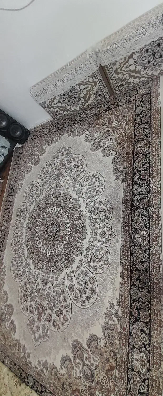 فرش ۱۲ و ۹ متری و قالیچه|فرش|مشهد, رسالت|دیوار