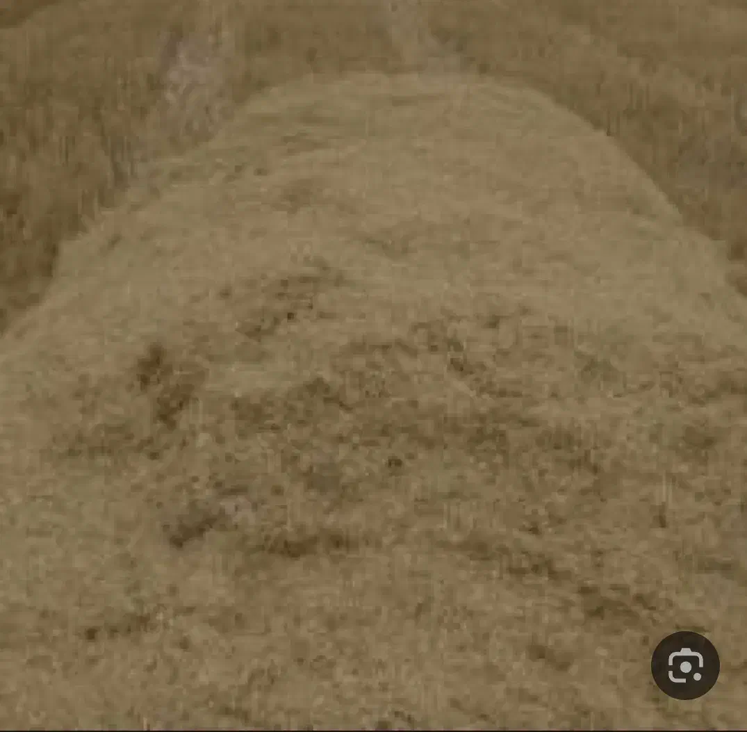 فروش کاه|لوازم جانبی حیوانات|آمل, |دیوار