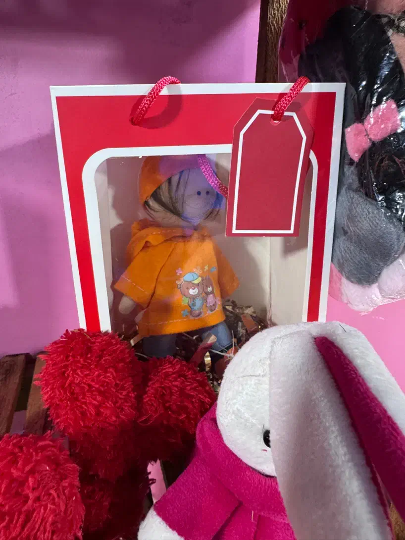 هدیه ولنتاین عروسک|گل و گیاه طبیعی|آمل, |دیوار