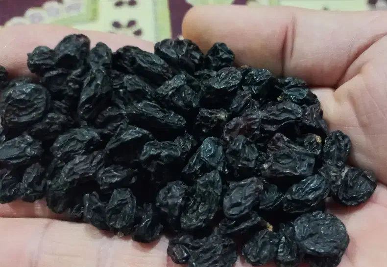 مویز کشمش بی دانه ی سیاه|خوردنی و آشامیدنی|بجنورد, |دیوار