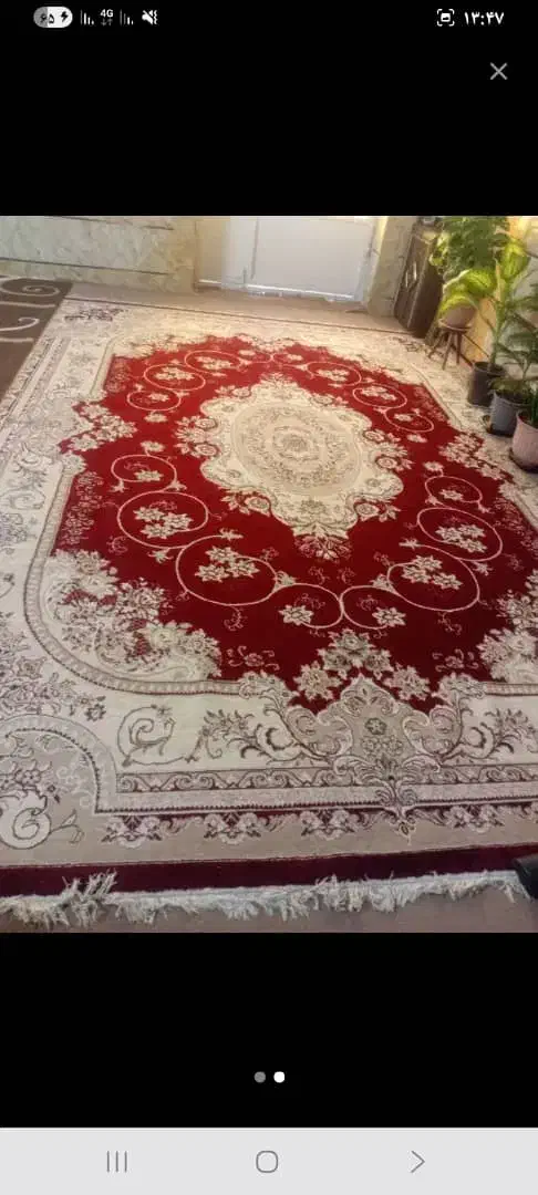 ۳عددقالی درامیدیه|فرش|امیدیه, |دیوار