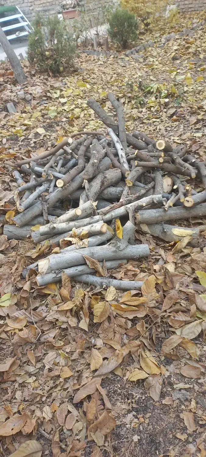 هیزم برای کوهنوردی و کمپینگ|کوهنوردی و کمپینگ|لواسان, |دیوار