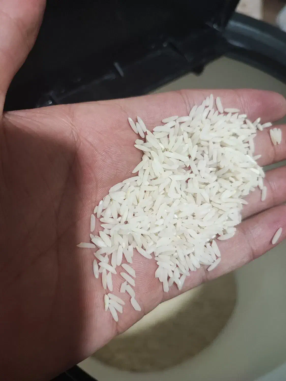 برنج طارم هاشمی بدون ریز|خوردنی و آشامیدنی|قائمشهر, |دیوار