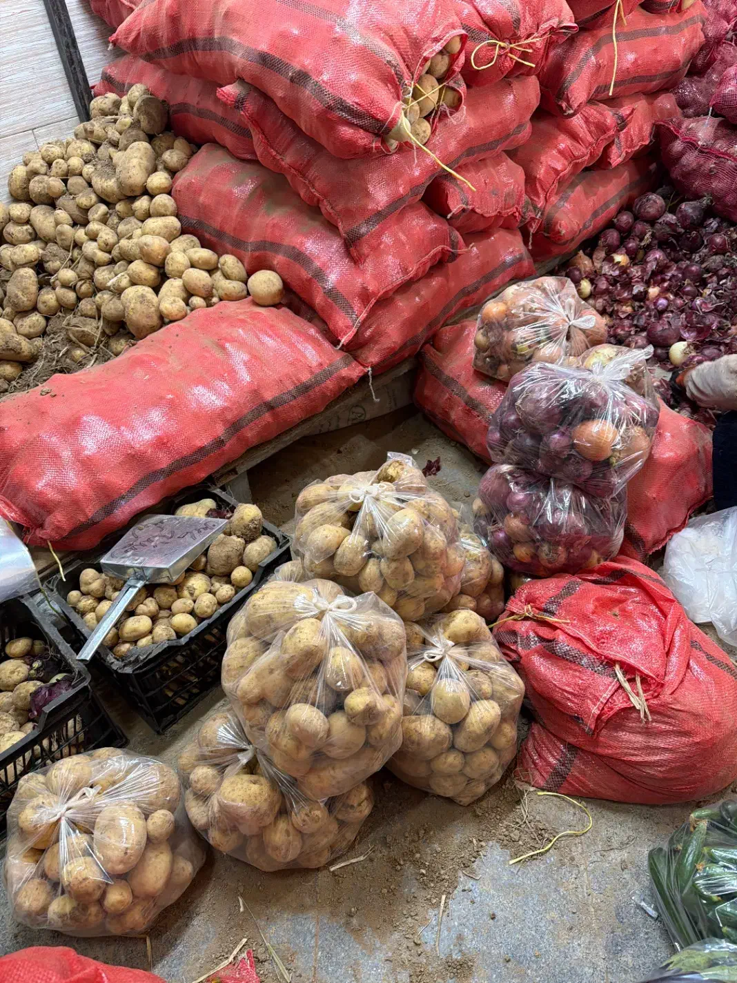 نیرو کار خانم جهت بسته بندی صیفی جات|استخدام صنعتی، فنی، مهندسی|مشهد, فرودگاه|دیوار