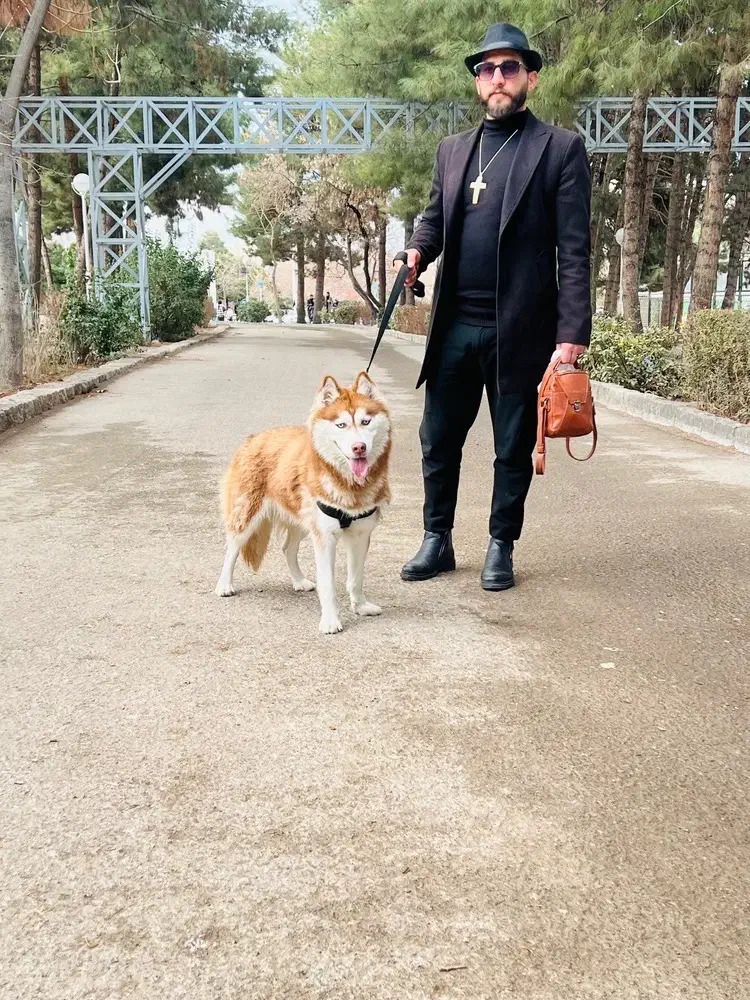 سگ هاسکی|سگ|اهواز, کیانپارس |دیوار