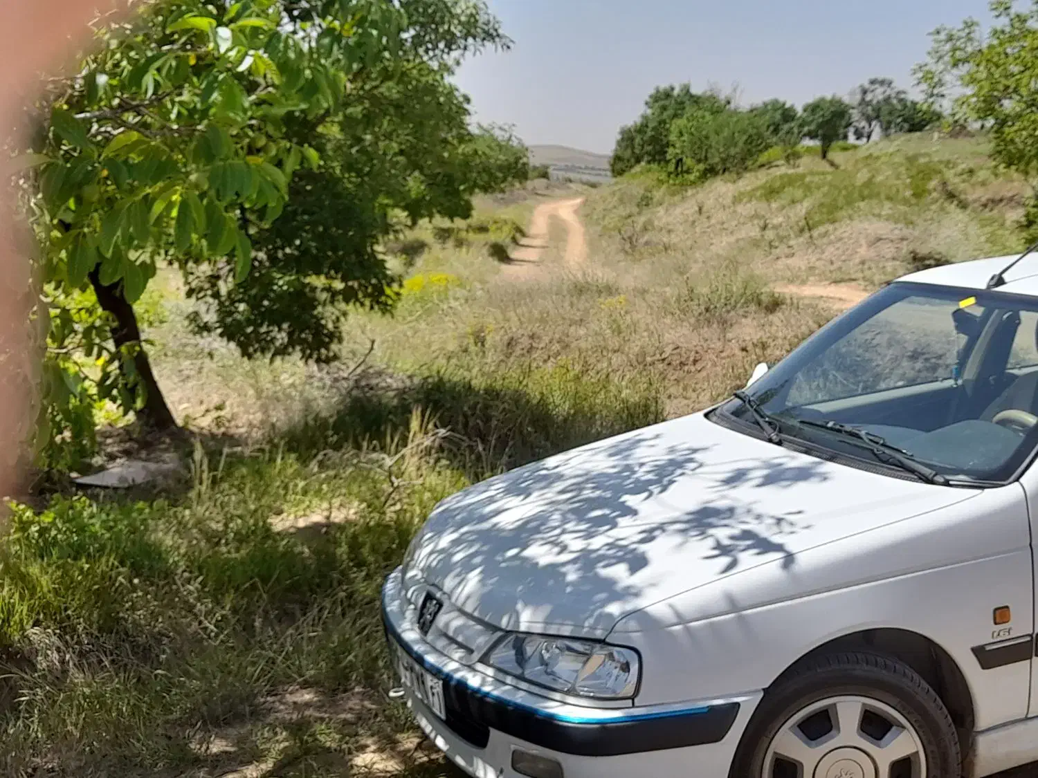 باغ ۴هزار متری در روستای کوشکی سفلی|فروش زمین و ملک کلنگی|اشترینان, |دیوار