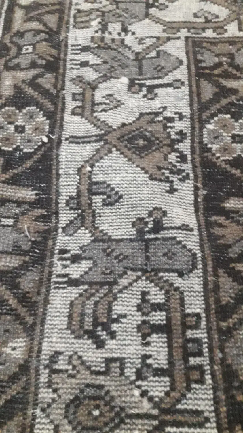 فرش قدیمی|فرش|قزوین, |دیوار