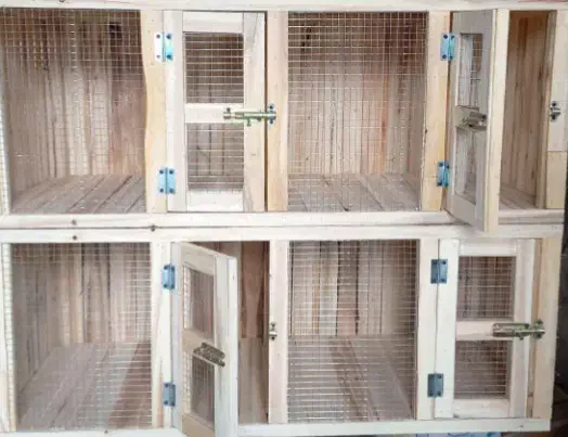 قفس کبوتر ولاری|لوازم جانبی حیوانات|مشگین شهر, |دیوار