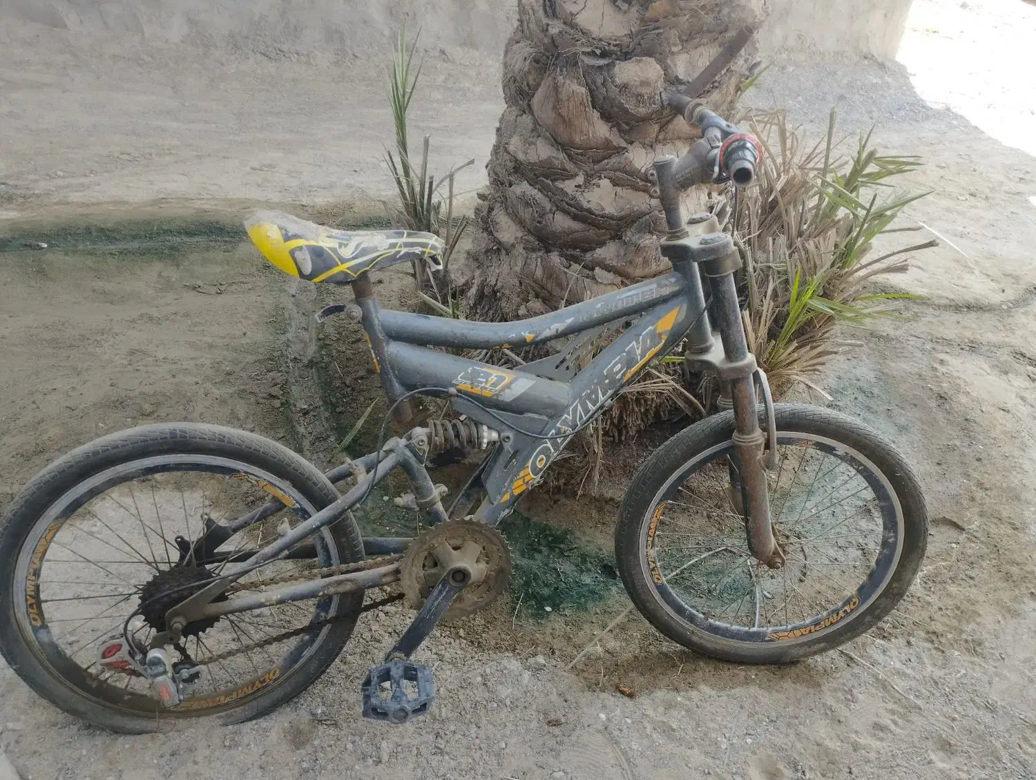 دوچرخه ۱۶..۲۰..۲۴|دوچرخه، اسکیت، اسکوتر|میناب, |دیوار