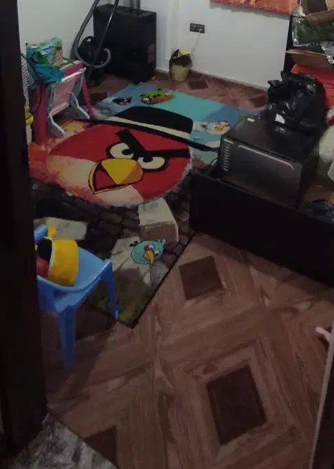 فرش 6متری انگیربرد|فرش|قائم‌شهر, |دیوار