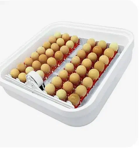 دستگاه جوجه کشی ایزی باتور 1|حیوانات مزرعه|ازنا, |دیوار