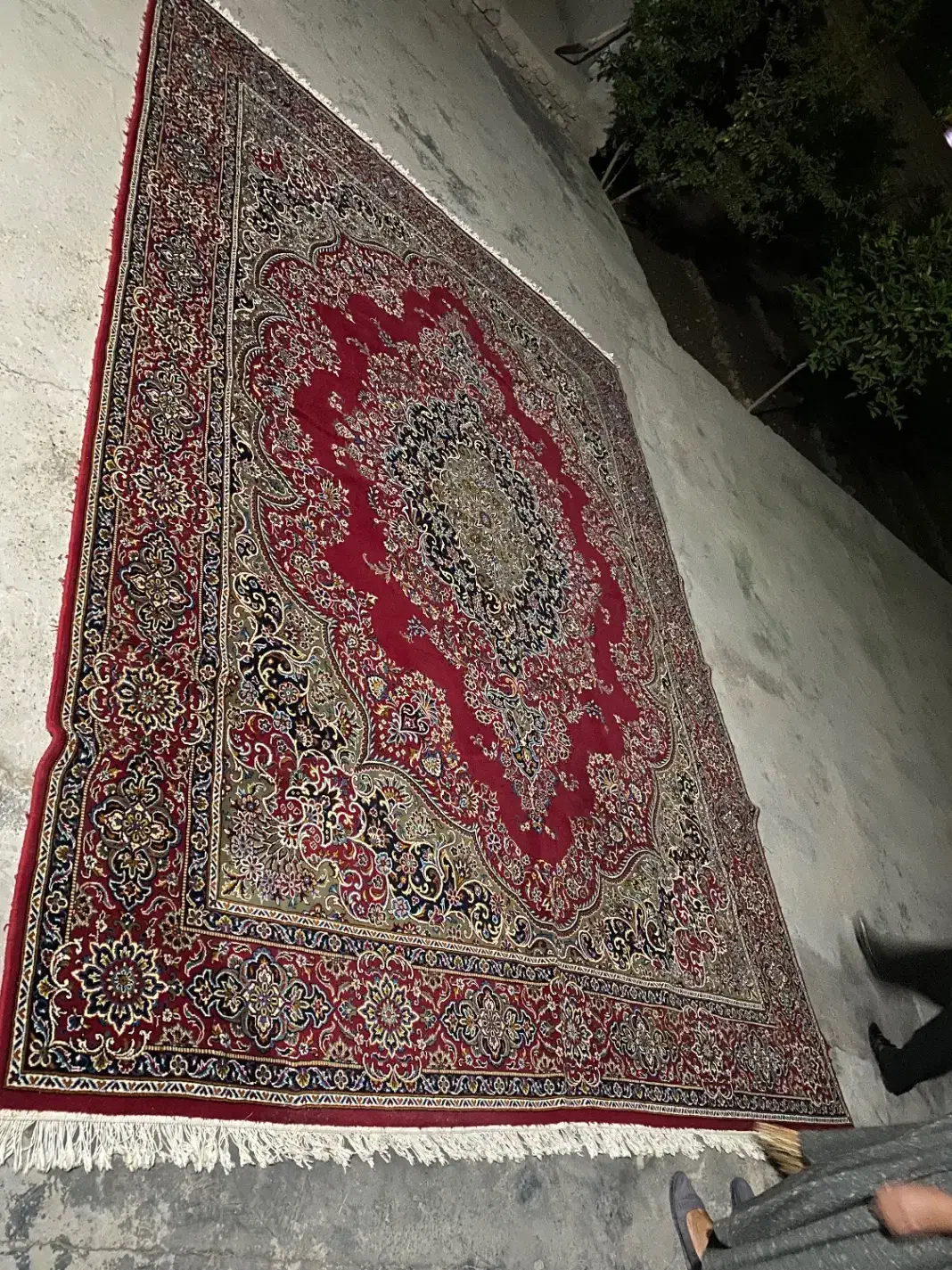 فروش دو عدد فرش ۱۲ متری|فرش|مزرعه کتول, |دیوار