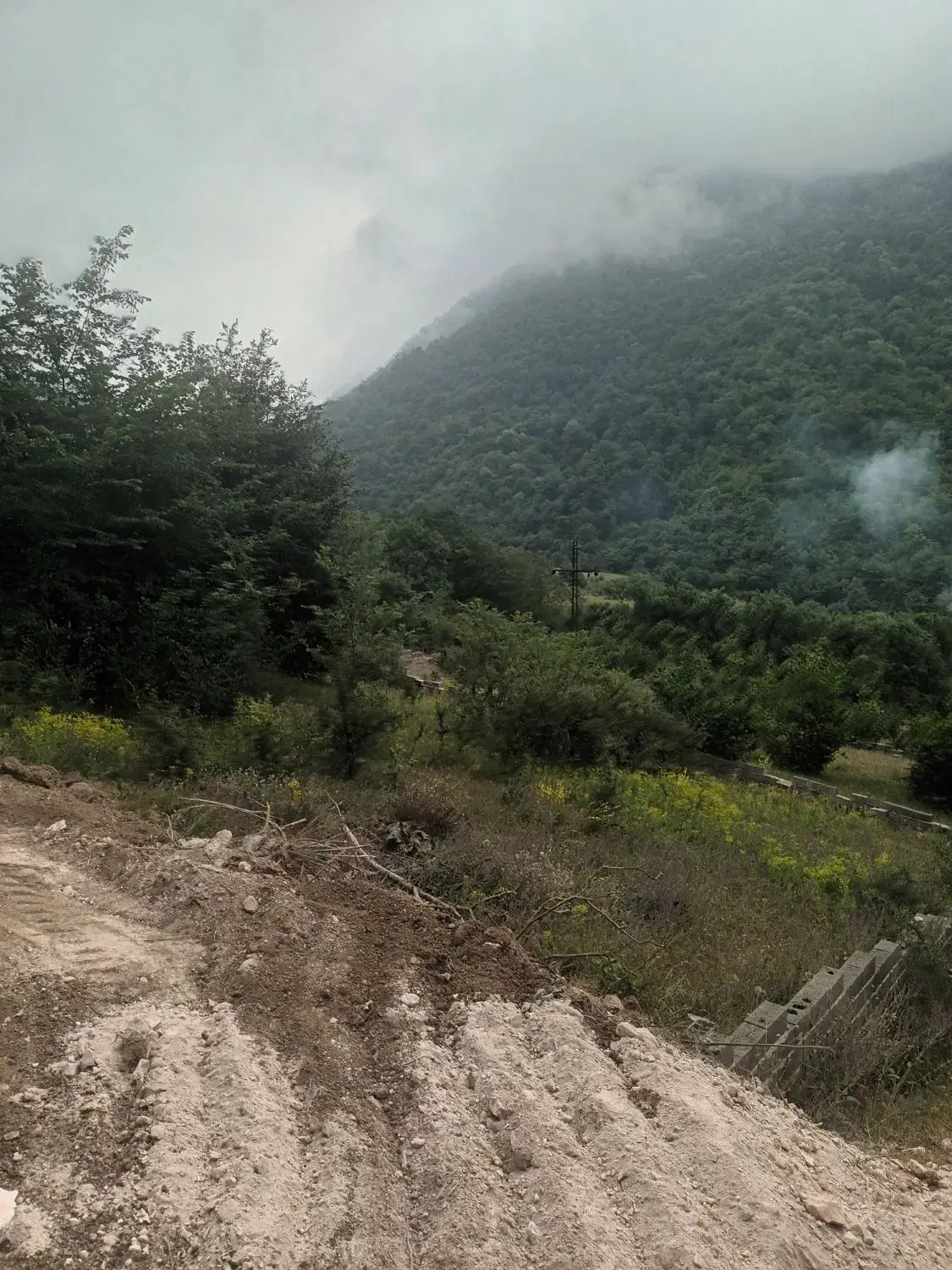 ۸۰۰ مترمربع زمین چالسیو لزیر رویان|فروش زمین و ملک کلنگی|رویان, |دیوار