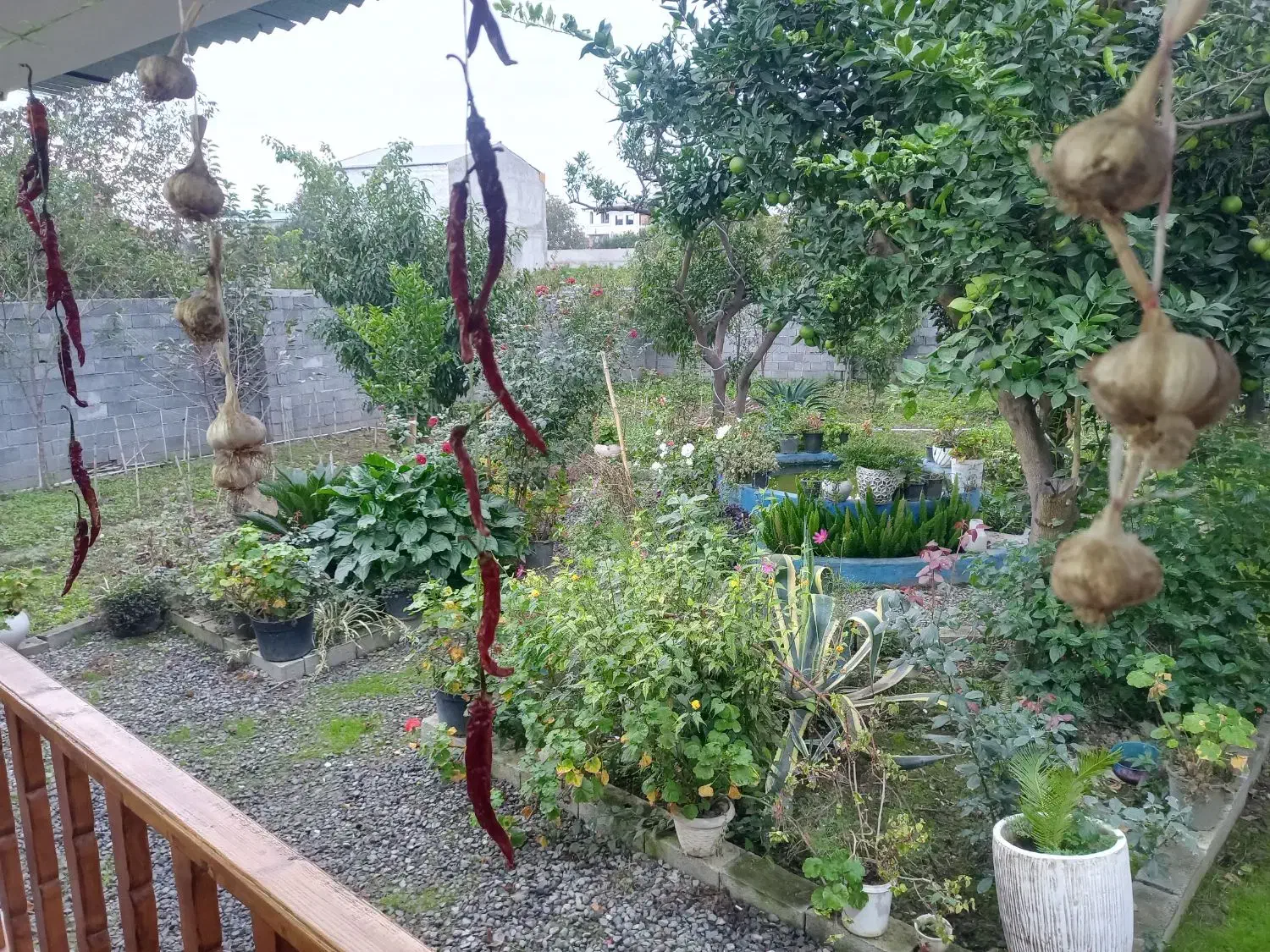 سوییت ویلا باغ سنتی دربست|اجارهٔ کوتاه‌مدت آپارتمان و سوئیت|آمل, |دیوار