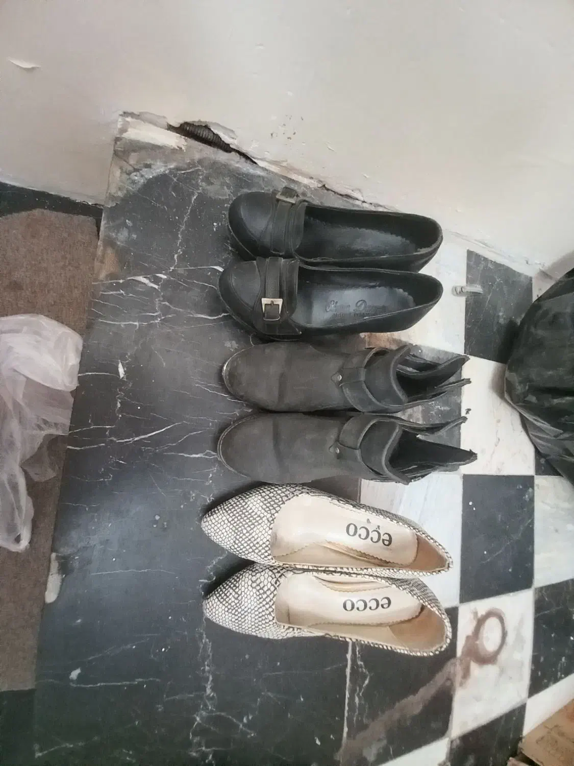 کفش و پالتو|لباس|مشگین شهر, |دیوار