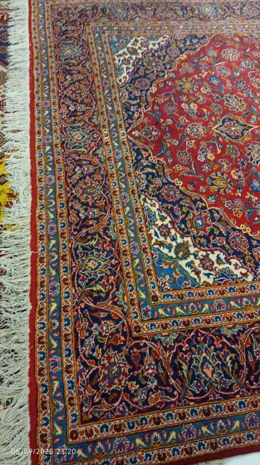 فرش نجف آبادی|فرش|شیراز, باغ تخت|دیوار